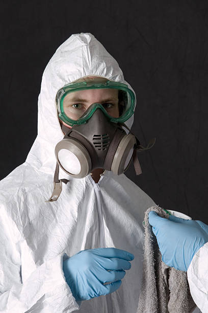 Best Water Damage & Mold Remediation  in Ridge, NY